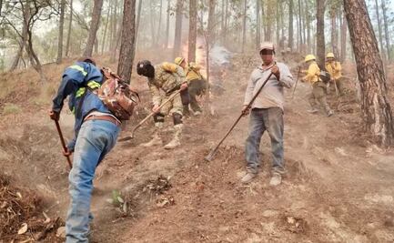Contratarán brigadistas para combatir incendio forestal en Sinaloa; falta de voluntarios, causa por la que no ha sido extinguido