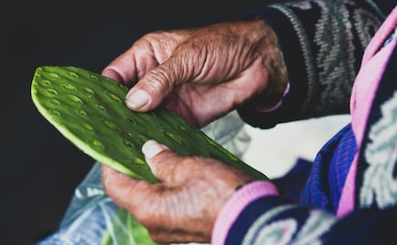 ¿Qué es la alquitira y para qué sirve?