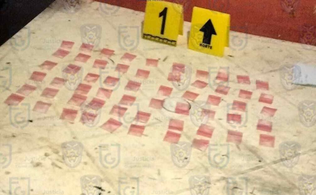 Los investigadores aseguraron diversas dosis de sustancia con características propias de droga, y en apego a los protocolos de actuación policial detuvieron a una mujer. Foto: Especial