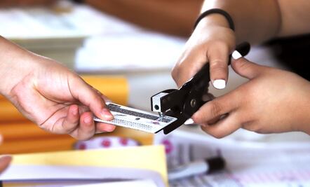 Partido Verde exige en Senado blindar elecciones en los seis estados