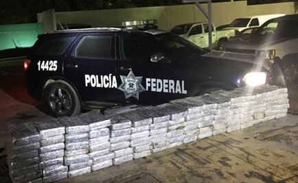 Authorities seize over 231 pounds of cocaine in Tamaulipas