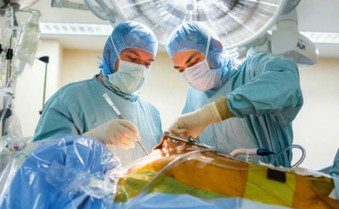 Investigan la construcción de órganos mediante las técnicas de impresión 3D. Foto:  Archivo 