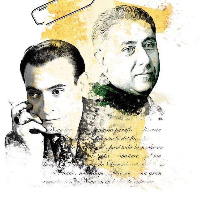 Tipos de cuidado (II)