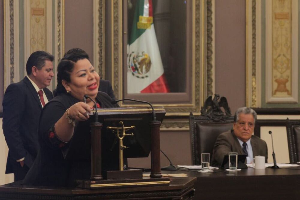 Maritza Marín Marcelo, diputada local del PRI (Foto: tomada de Twitter @MaritzaMarinM)