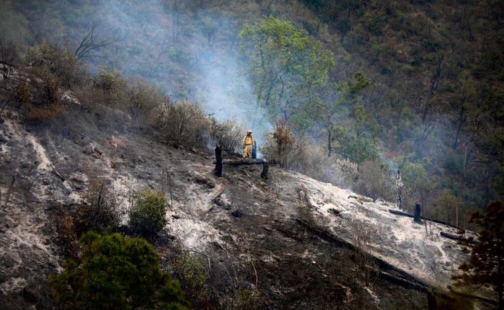 Vuelca camioneta en Nuevo León y deja 12 muertos (23/02/2025). Foto: Especial