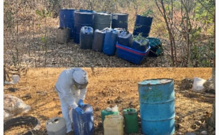 Desmantelan laboratorios clandestinos en varios puntos de Sinaloa; localizan campamento usado por grupos criminales