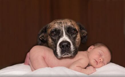 Los niños con mascotas tienen menos riesgo de alergias y obesidad