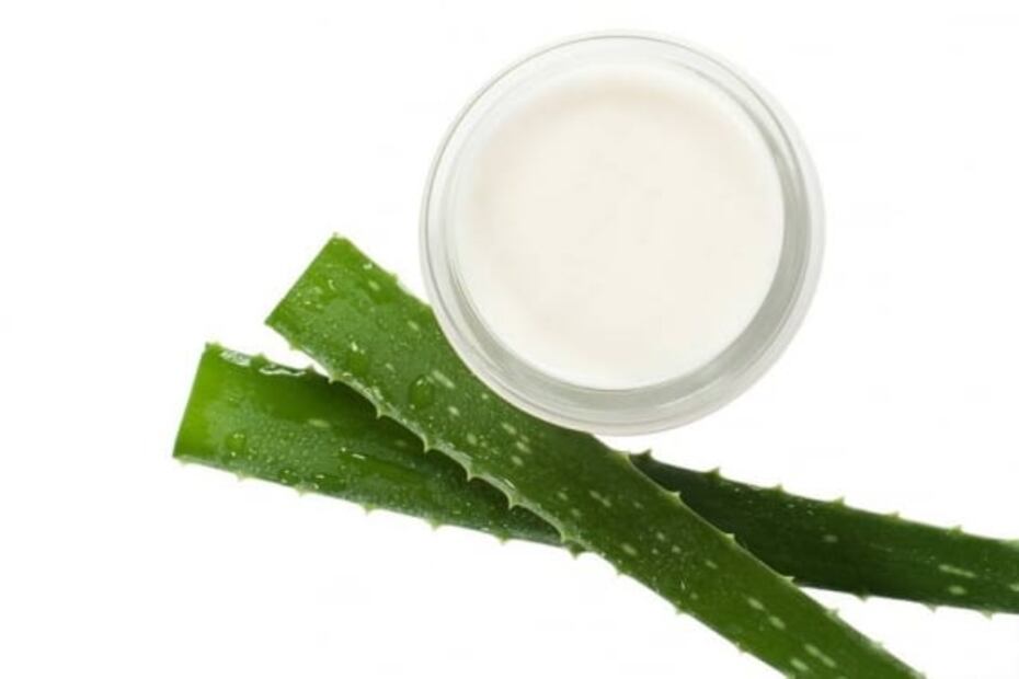 ¿Cómo extraer el aloe vera de la sábila?