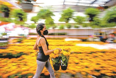 Covid y cierre de panteones "marchitan" venta de flores