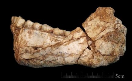 El Homo sapiens vivió mucho antes de lo que se pensaba
