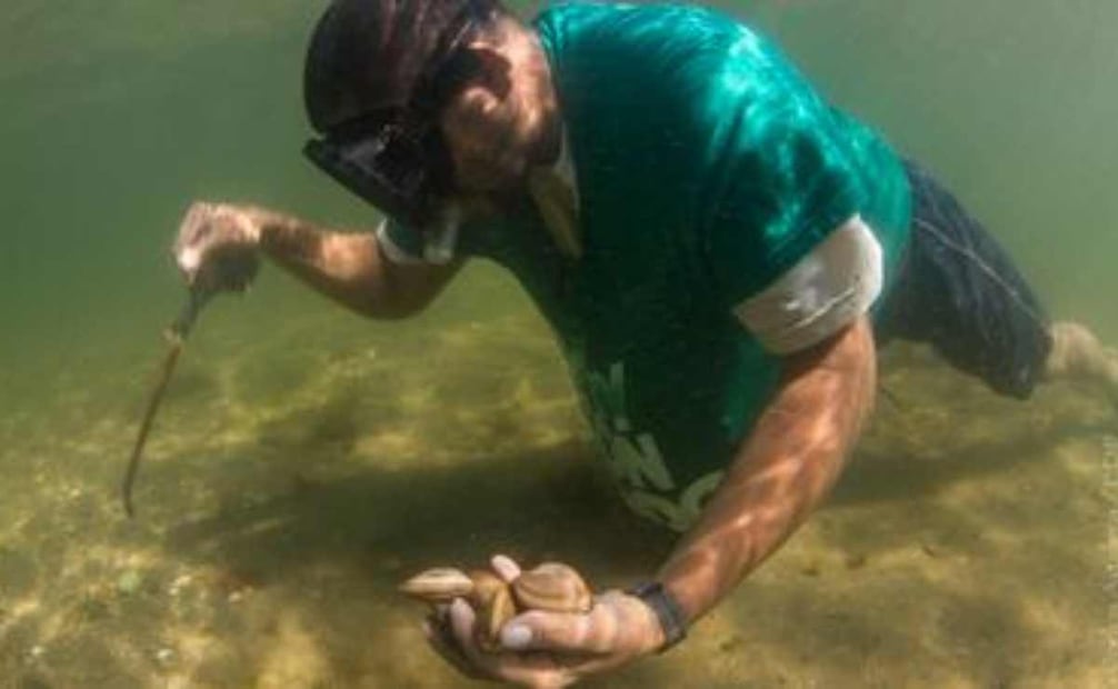 Conapesca informó que en septiembre iniciarán los periodos de veda y de aprovechamiento de doce especies marinas. Foto: Especial