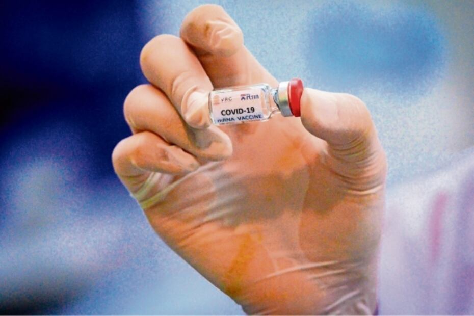 Escasez de primates para experimentación limitaría el estudio de más vacunas contra el Covid-19