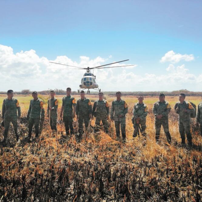 En los trabajos para erradicar los incendios en Sian Ka’an se cuenta con el apoyo de un helicóptero de la Sedena y 26 elementos. Además hay 168 combatientes de la Conafor, ocho guardaparques de la Conanp y 13 elementos de la dirección de Protección Civil