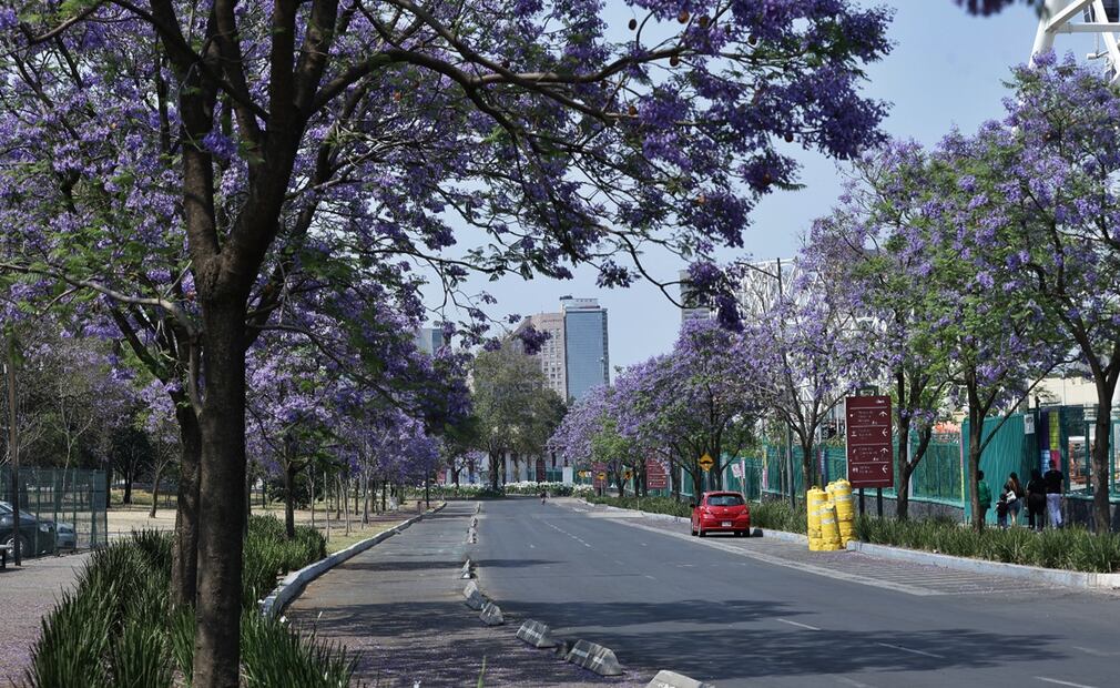 El Parque Aztlán estrenará juegos nuevos en Semana Santa, el miércoles 9 de abril de 2025. Foto: Fernanda Rojas/EL UNIVERSAL