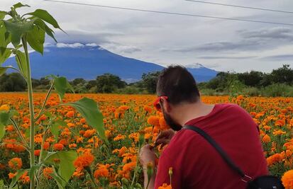 Día de Muertos: tour a un campo de cempasúchil en Atlixco