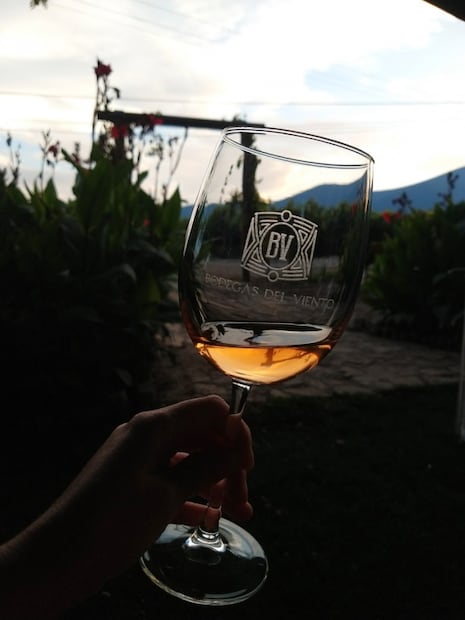 En Coahuila hay buen vino, conoce estas 4 bodegas