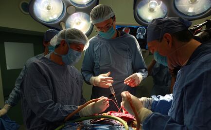 Japón hará la primera operación de corazón con células madre