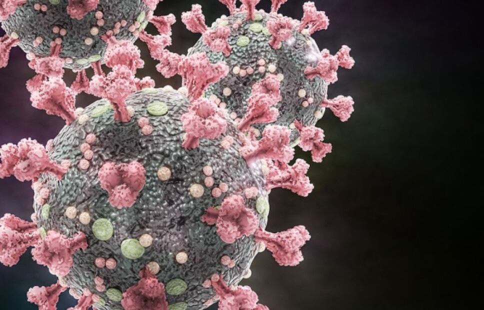 Covid-19: Estos son los genes humanos que combaten las infecciones