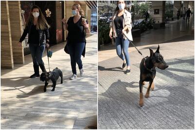 Los covidiotas también son fifí… y no hay vacuna