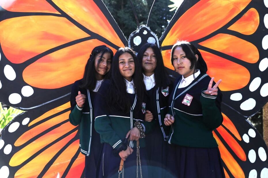 Millones de mariposas monarcas han llegado a los santuarios Sierra Chincua, Senguio y El Rosario. (Foto: especial)