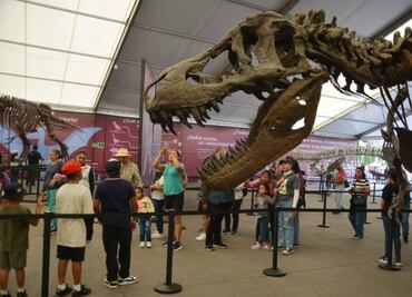 Dinosaurios fluorescentes, tirolesa y mega inflables; estas son todas las actividades que hay en el Zocalito de las infancias