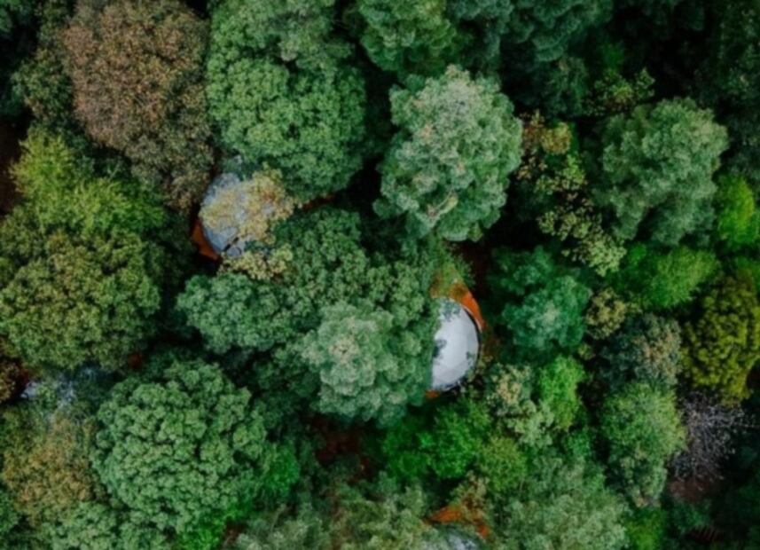 Avezasul, un glamping en el bosque a una hora y media de CDMX