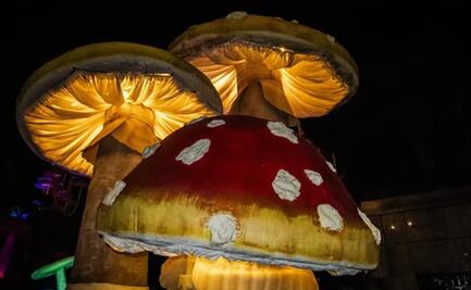 Hoy, picnic nocturno bioluminiscente en Chapultepec