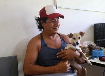 “Son nuestra familia”: albergues reciben a familias con lomitos y michis en Tulum