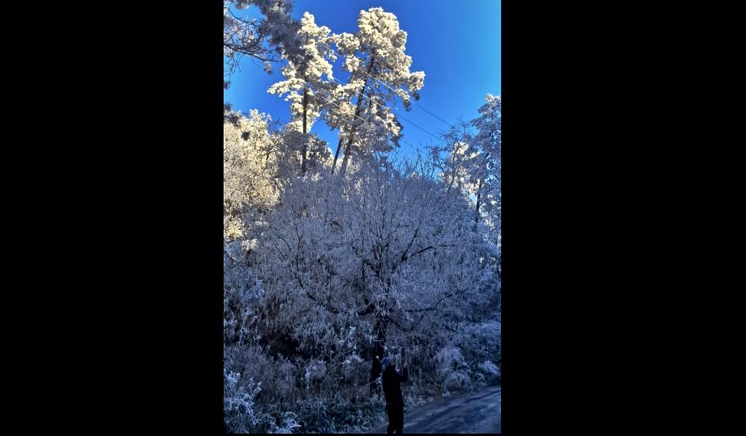 La onda gélida que experimenta Estados Unidos se resiente también este 22 de enero de 2025 en el norte de México, donde se registran temperaturas bajo cero, caída de nieve o aguanieve y lluvia congelante. Foto: @PC_NuevoLeon