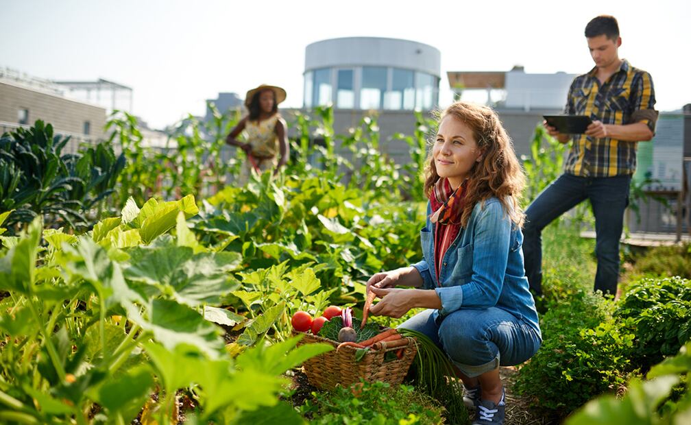Foto: iStock