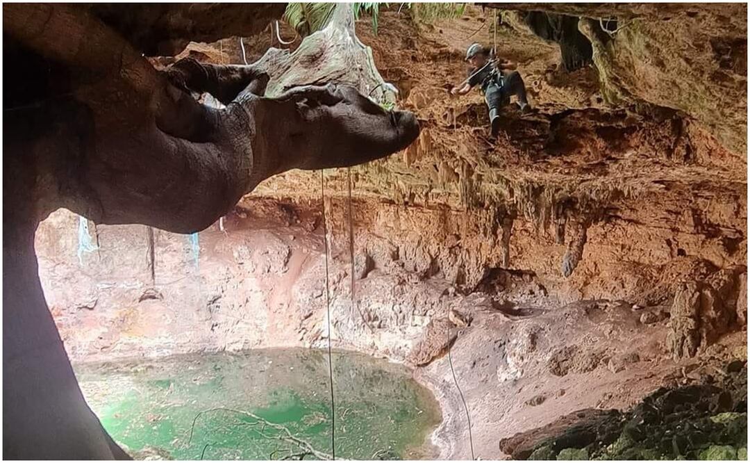 Se sabe que el joven ingresó al cenote de Yucatán para nadar, sin embargo, ya no salió a la superficie, por lo que elementos de emergencia acudieron al lugar y confirmaron su muerte. Foto: Ilustrativa / Especial