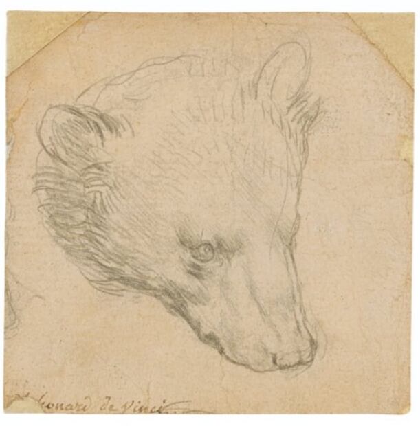 Este es ahora el dibujo más caro de Leonardo da Vinci