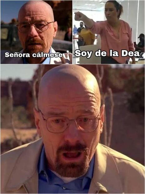 Los mejores memes que dejó #LadyDEA