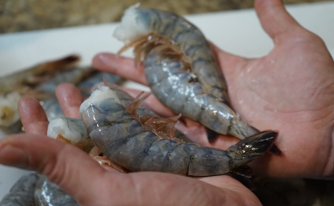 Fotos; Mariana Castillo