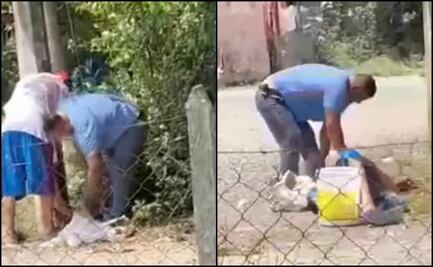 Adulto mayor sufre ataque de enjambre de abejas en Tabasco; queda inconsciente y es hospitalizado