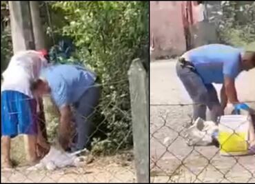 Adulto mayor sufre ataque de enjambre de abejas en Tabasco; queda inconsciente y es hospitalizado