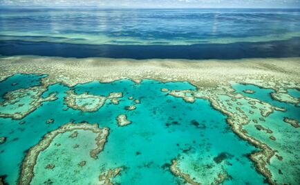 La Gran Barrera de Coral se está blanqueando