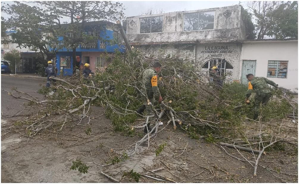 Elementos del Ejército llevan a cabo el Plan DN-III por fuertes vientos en Veracruz (21/01/2025). Foto: Especial