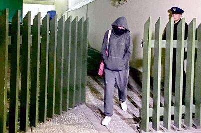 PGJ va tras la pista del dueño de ZonaDivas