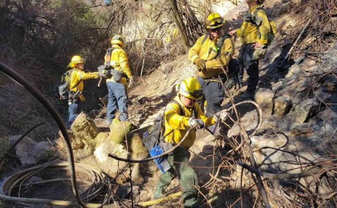 La Conafor también empezó un patrullaje sistemático para la detección de puntos calientes en un área de mil 700 metros. Foto: Conafor