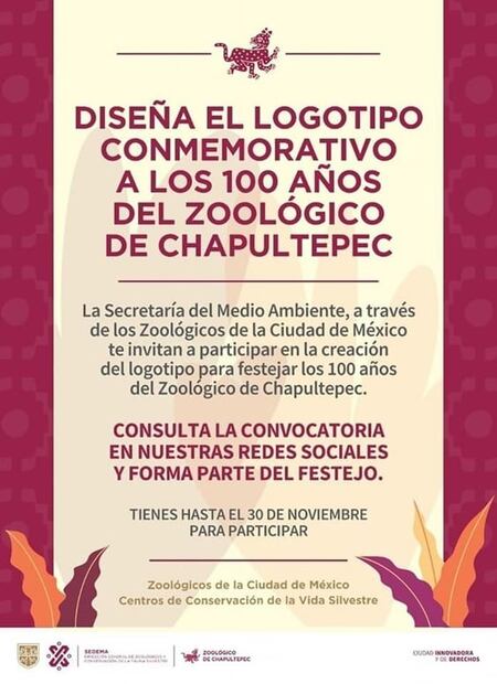 Lanzan convocatoria para crear logo por los 100 años del Zoológico de Chapultepec ¿Cuáles son los requisitos? 