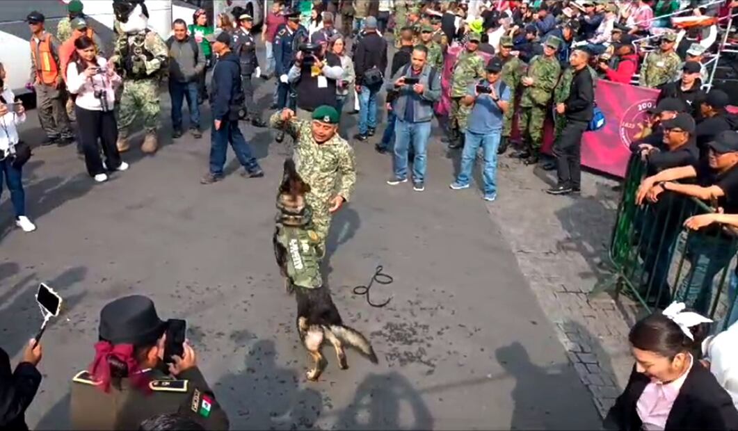 Desfile militar 2023. Foto: especial