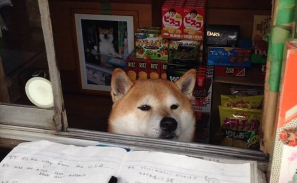 Esta es la historia del perrito que atiende una tienda en Japón