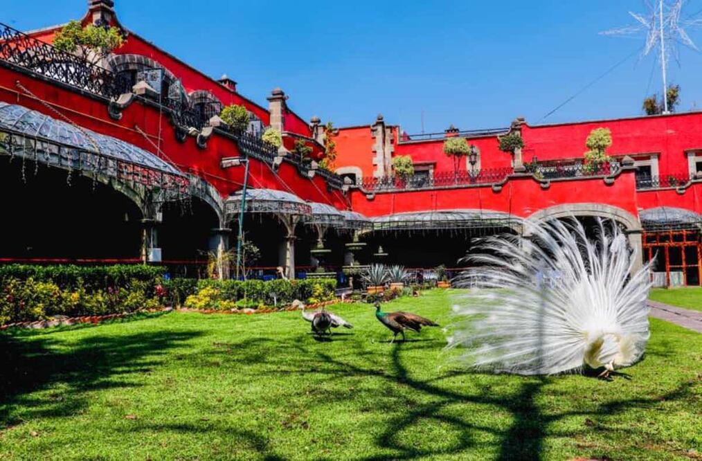 En la alcaldía más grande de CDMX, Antigua Hacienda de Tlalpan, todo un clásico. Foto: Antigua Hacienda de Tlalpan