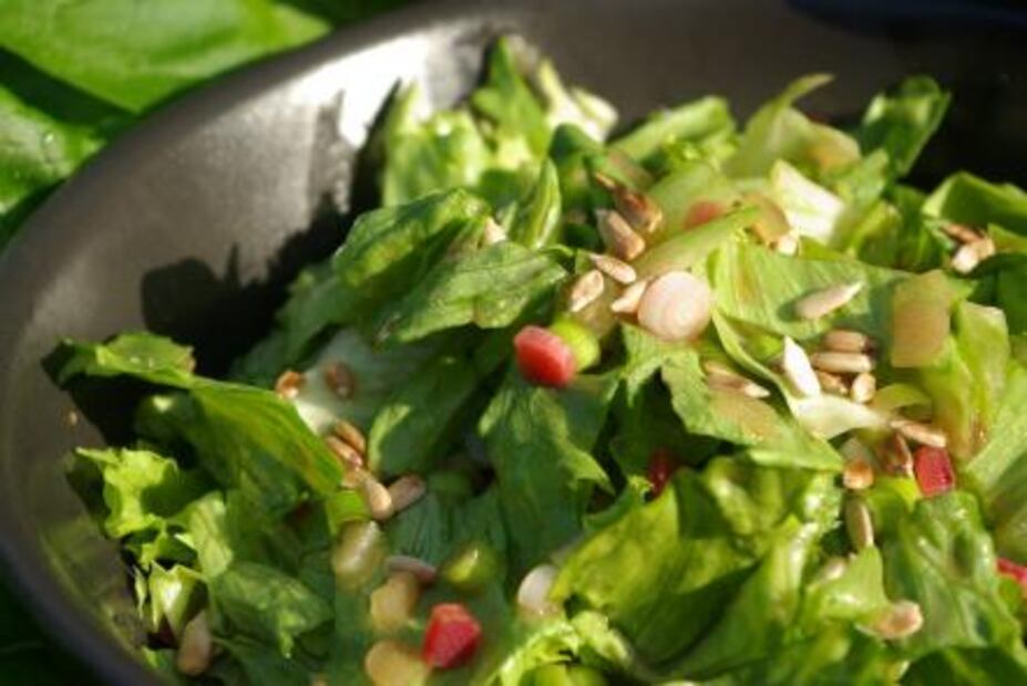 ¿Por qué debemos comer nopal frecuentemente?