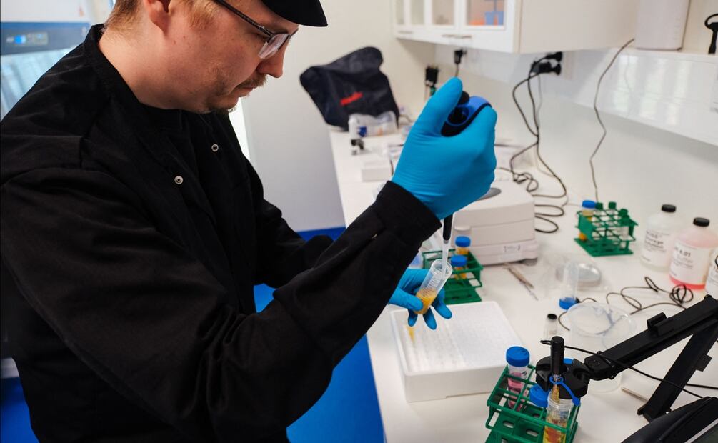 Un microbio es alimentado con dióxido de carbono, hidrógeno y minerales en un proceso que utiliza electricidad de fuentes renovables. Foto. AFP
