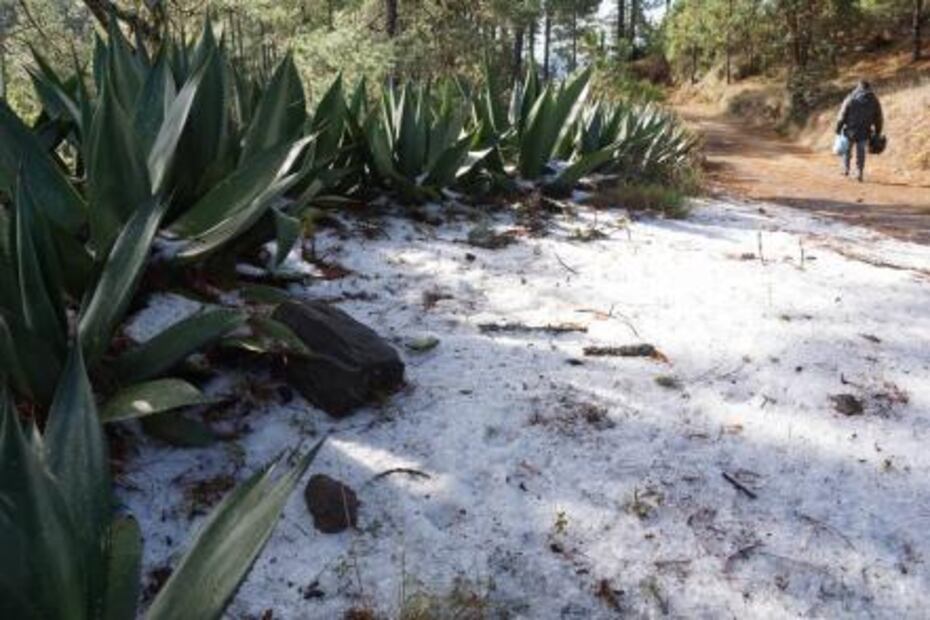 “Parece que estamos en el Polo Norte con este clima”