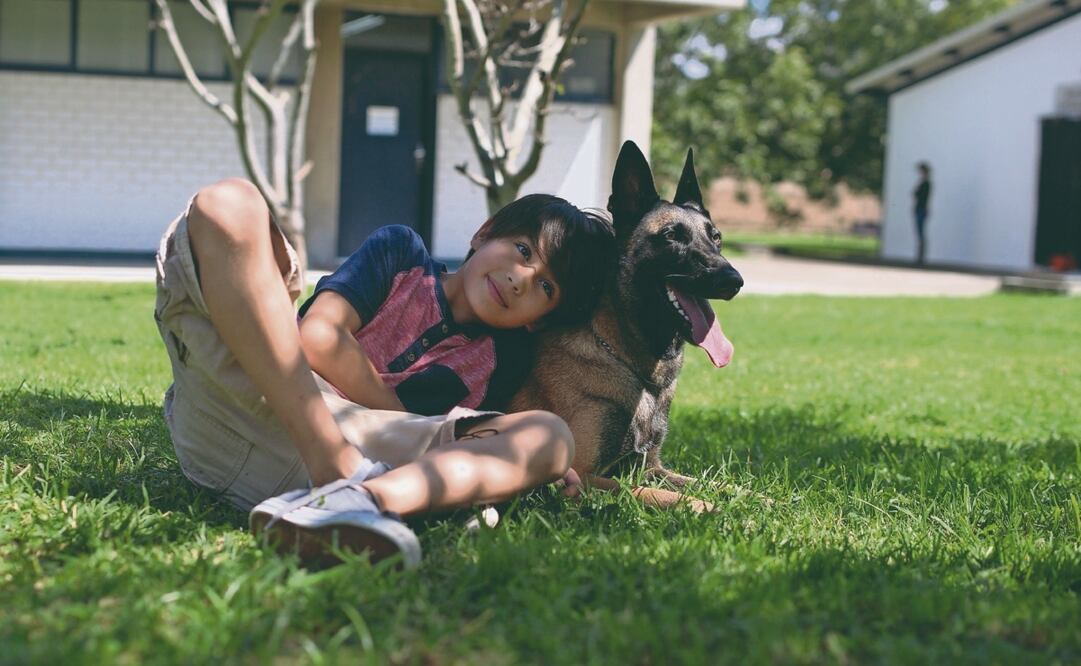 Las perritas se movieron entre cámaras, siempre bajo cuidados. FOTOS: Laura Ramírez y Angélica Sotelo