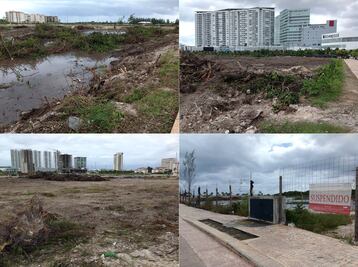 Acusan que no se rescató fauna en Tajamar ante obras