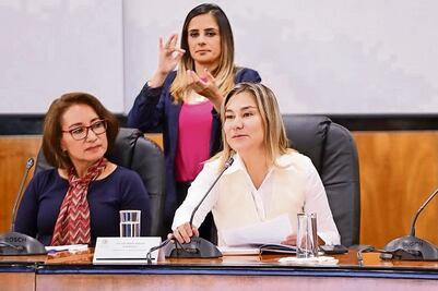 Libros tienen errores estructurales en los contenidos: expertos